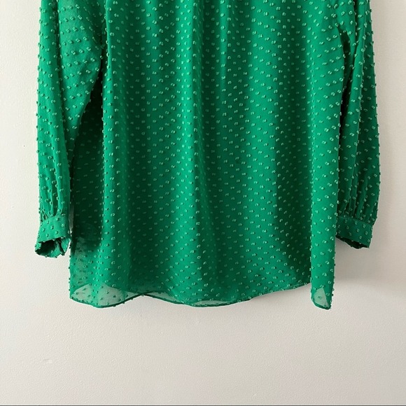 J.  Crew Green Swiss Dot Silk Blend L/S Sheer Blouse sz 2 - Picture 3 of 9